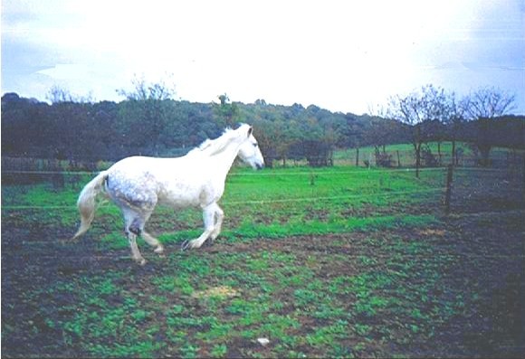 Photo de profil de dams56