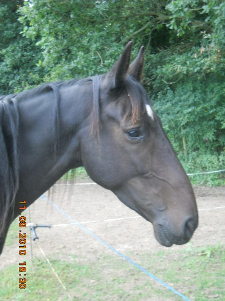 Photo de profil de jeeanneetrhodes