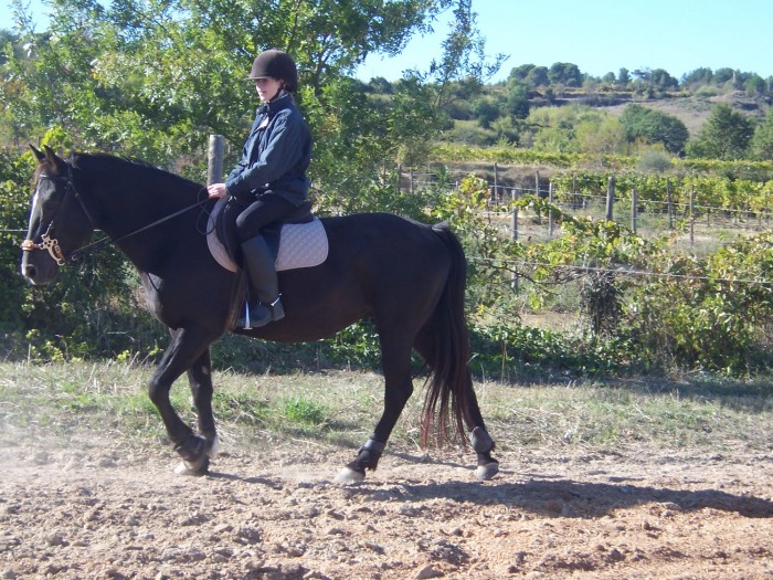 Photo de profil de xaviere34