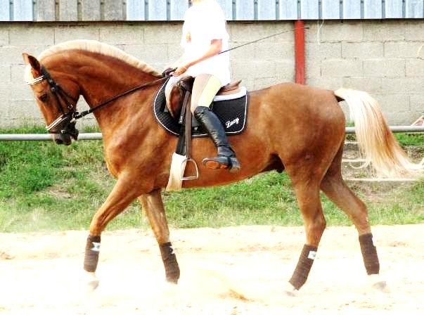 Photo de profil de belgam54