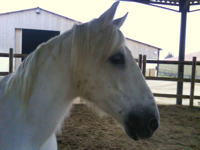 Photo de profil de jerry86