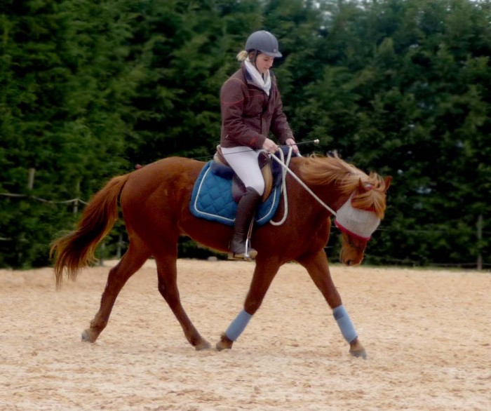 Photo de profil de lilou6389