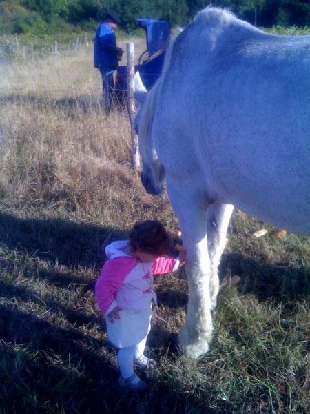 Photo de profil de kiara33550