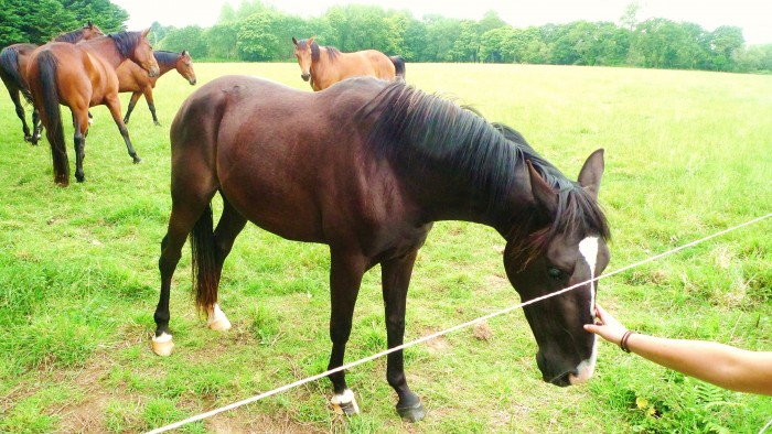 Photo de profil de lolimarinette