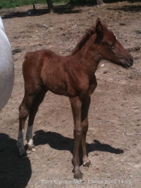 Photo de profil de maina