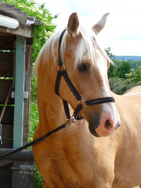 Photo de profil de q.sun78