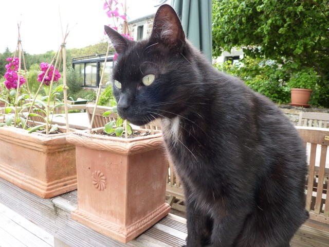 Photo de profil de melkior29