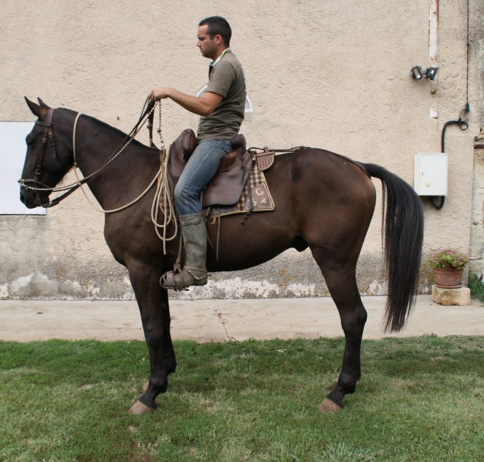 Photo de profil de manuelgallon