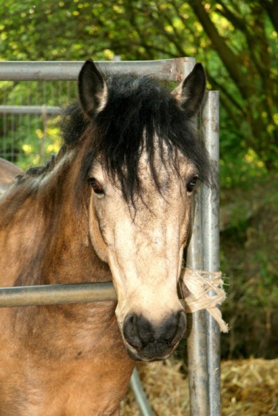 Photo de profil de jenny57