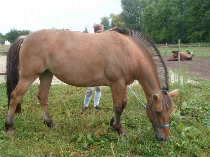 Photo de profil de lolajuju