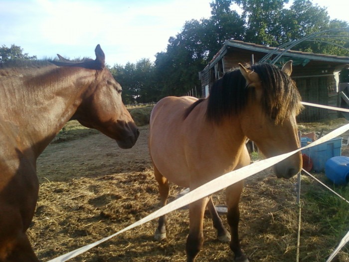 Photo de profil de etoile82