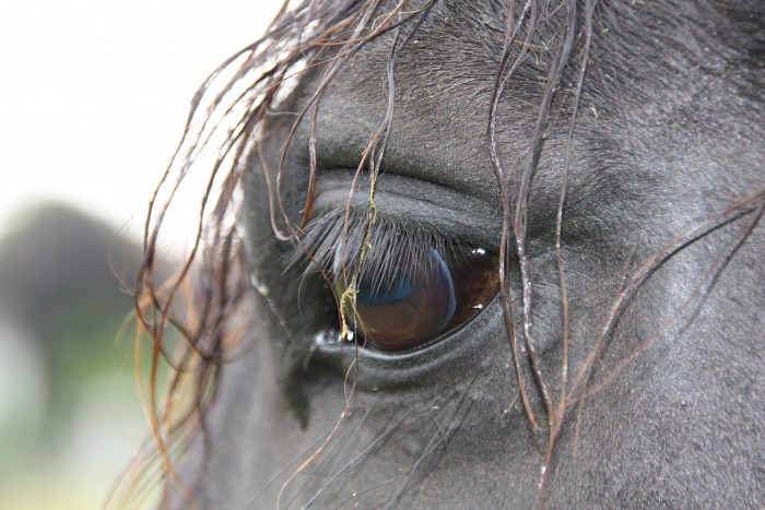 Photo de profil de bidoche.18