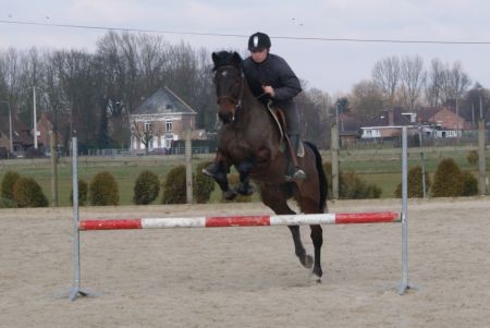 Photo de profil de geogeo