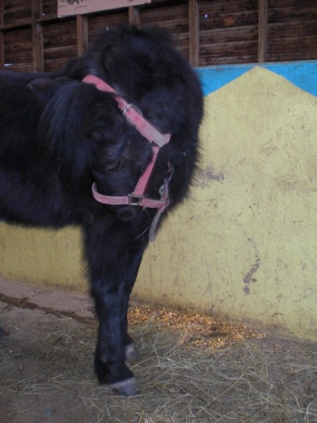 Photo de profil de laurine70