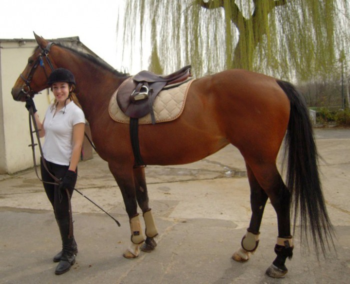 Photo de profil de lizzierox