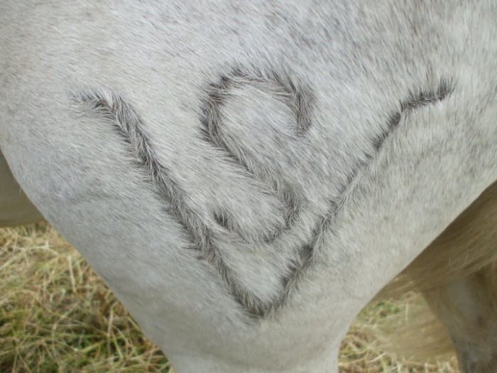 Photo de profil de sania