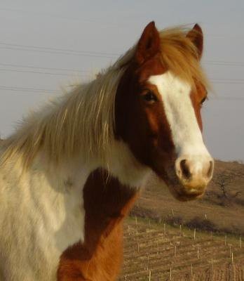 Photo de profil de missmisterre