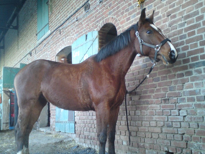 Photo de profil de amequine23