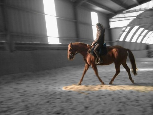 Photo de profil de lodie59250