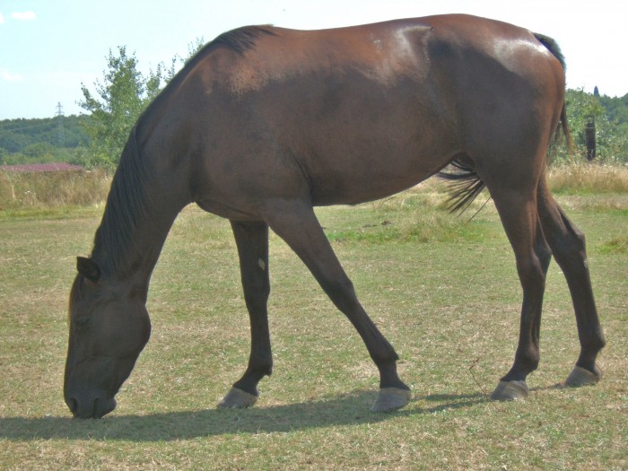 Photo de profil de roro69