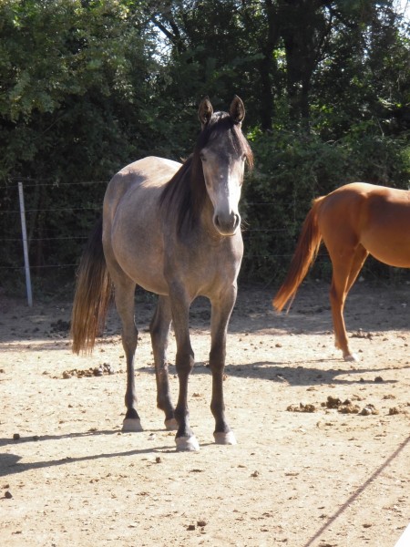 Photo de profil de nactalia