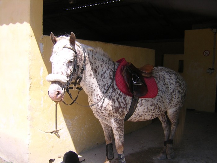 Photo de profil de julie84