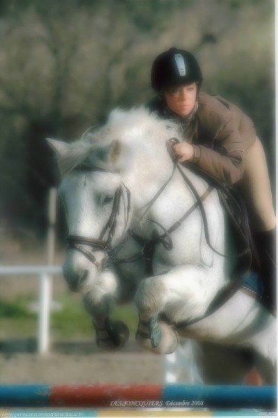 Photo de profil de djooly