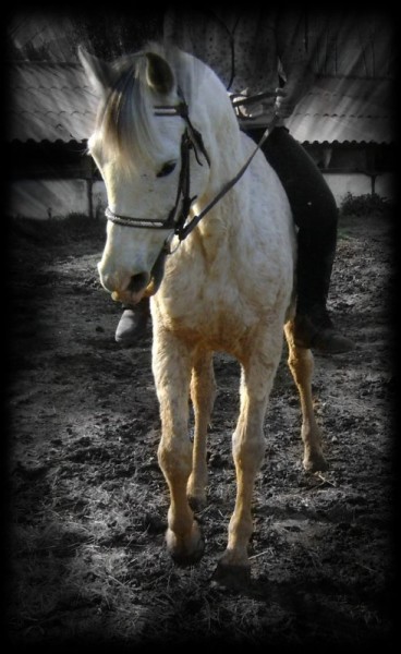 Photo de profil de xdlulu83