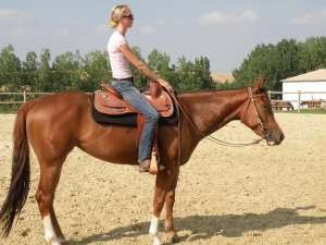 Photo de profil de urkan54