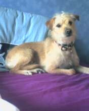 Photo de profil de mllep