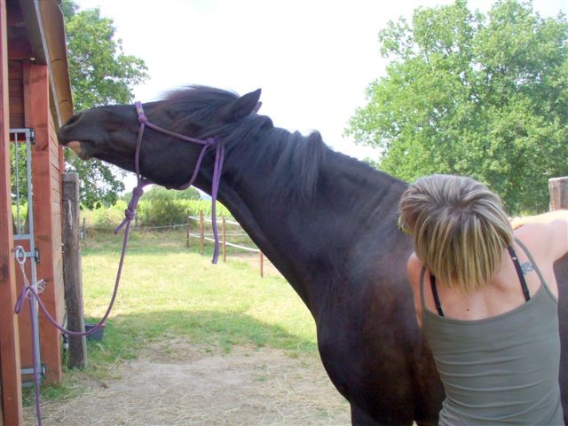 Photo de profil de lazizadundee