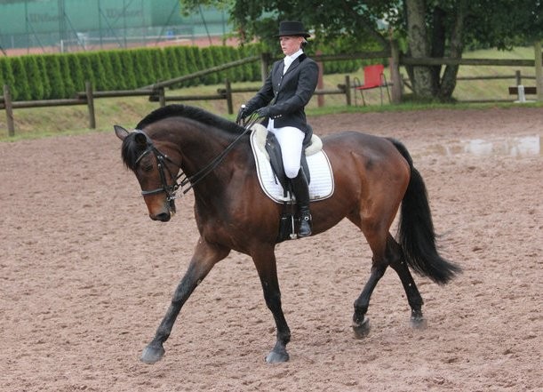 Photo de profil de ecurieessarts