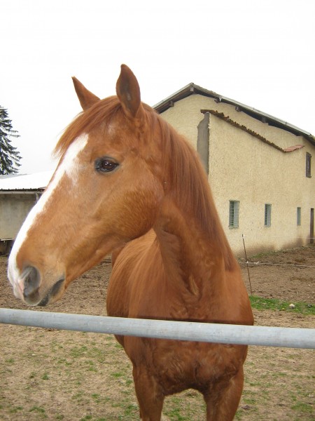 Photo de profil de tutus