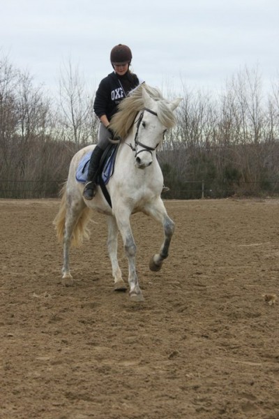 Photo de profil de belesprit