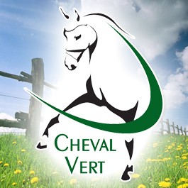 Photo de profil de chevalvert
