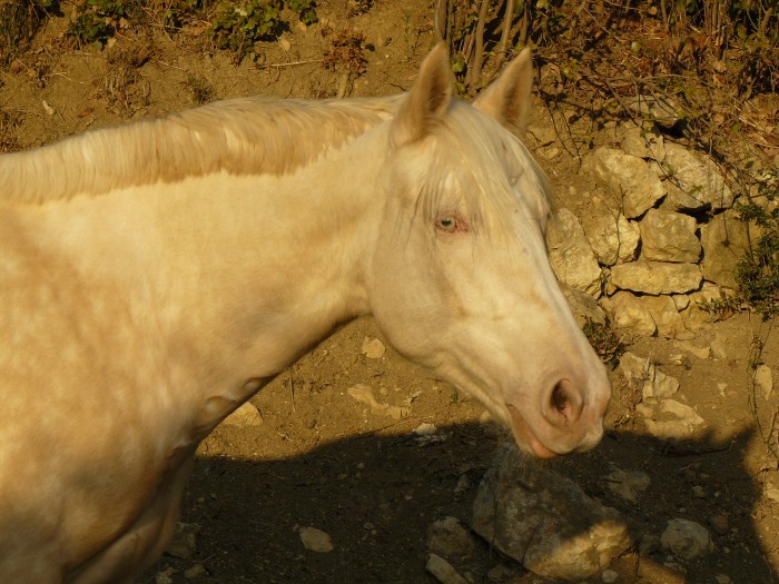 Photo de profil de torti