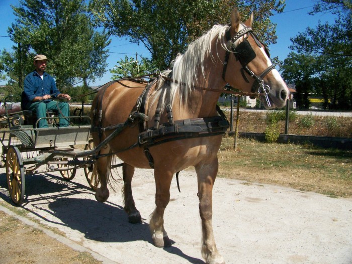 Photo de profil de bchambert