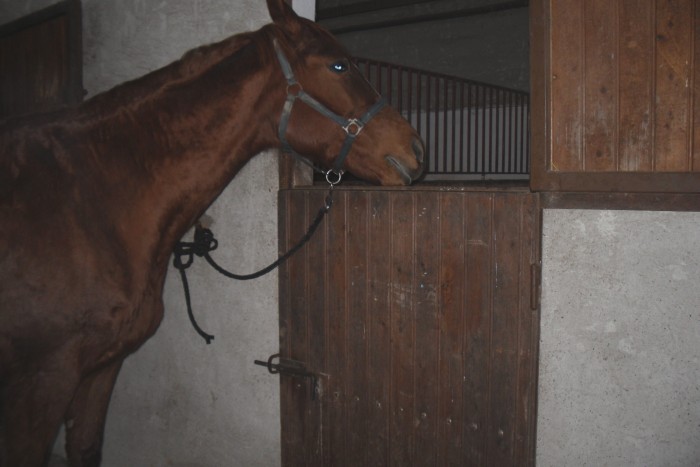 Photo de profil de aurelieh