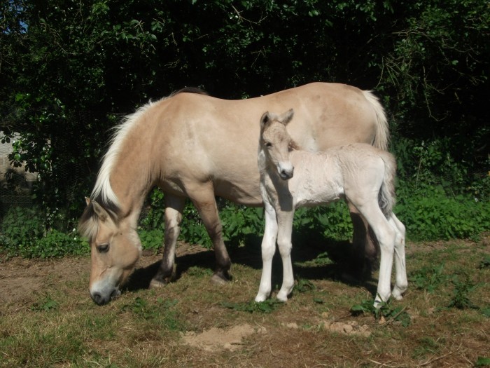 Photo de profil de mumu28