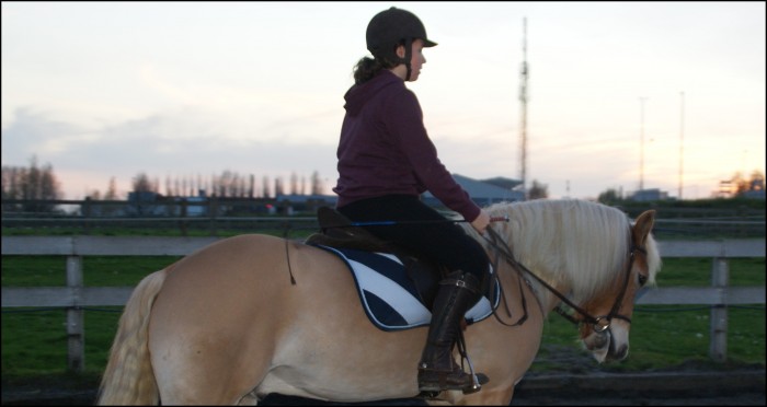Photo de profil de pipou59390