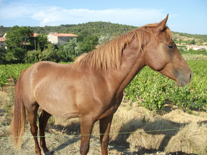 Photo de profil de annasaris