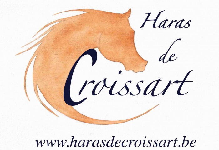 Photo de profil de croissart
