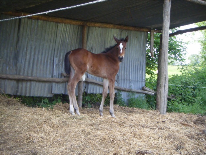 Photo de profil de marchand49