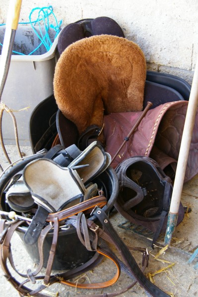 Photo de profil de chabap