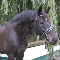 Photo de profil de maxinel