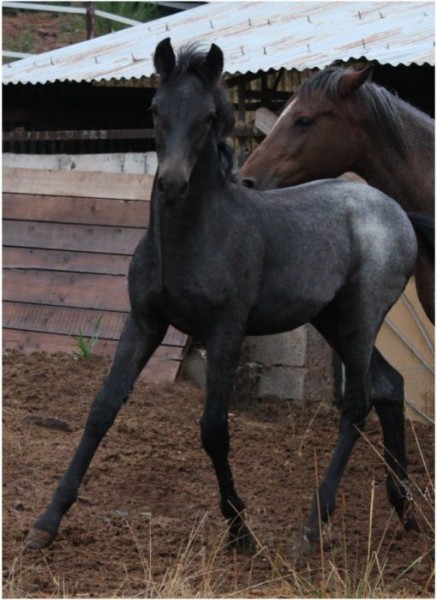 Photo de profil de gouttedo