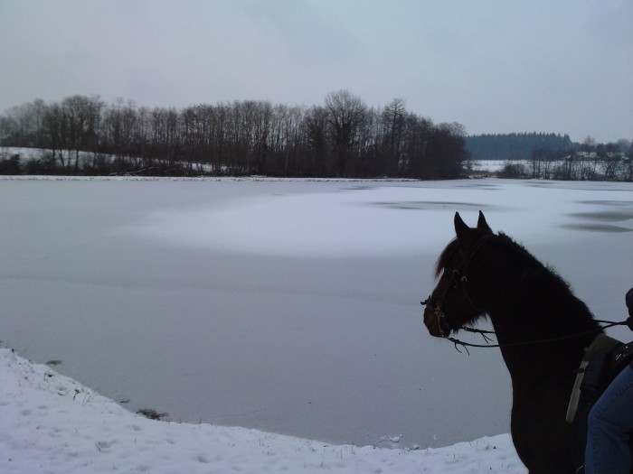 Photo de profil de lolo39