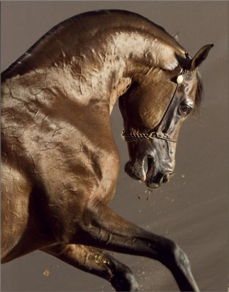 Photo de profil de fantasia78200