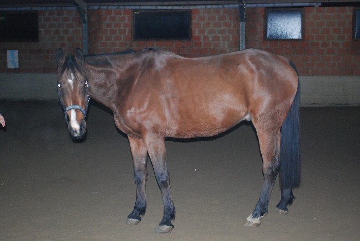 Photo de profil de sylvain79