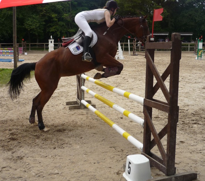 Photo de profil de abighel